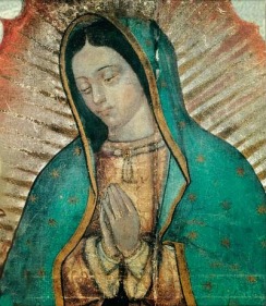 Our Lady of Guadelupe
